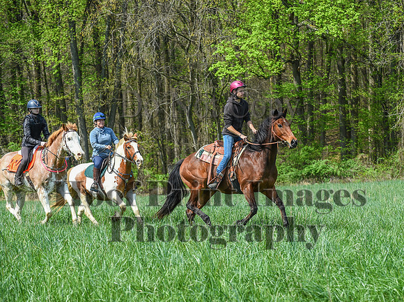 FairHillSpringPC(4-20-24)0202