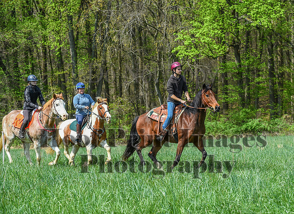 FairHillSpringPC(4-20-24)0201
