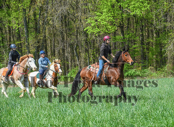 FairHillSpringPC(4-20-24)0203