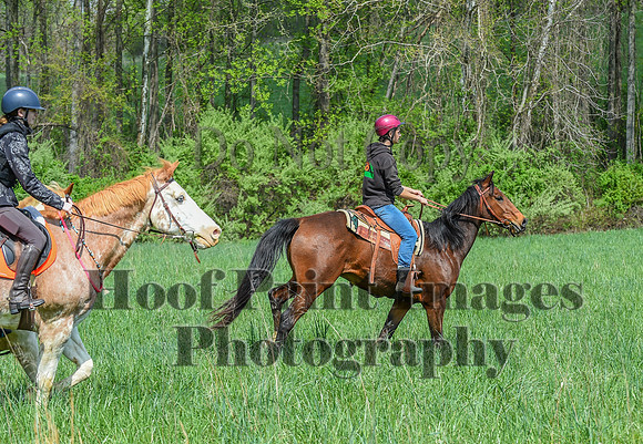 FairHillSpringPC(4-20-24)0213