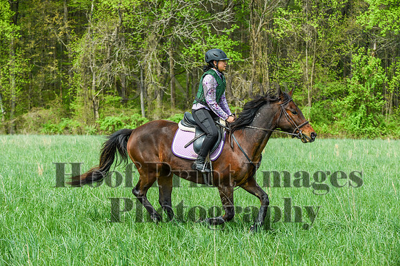 FairHillSpringPC(4-20-24)0256