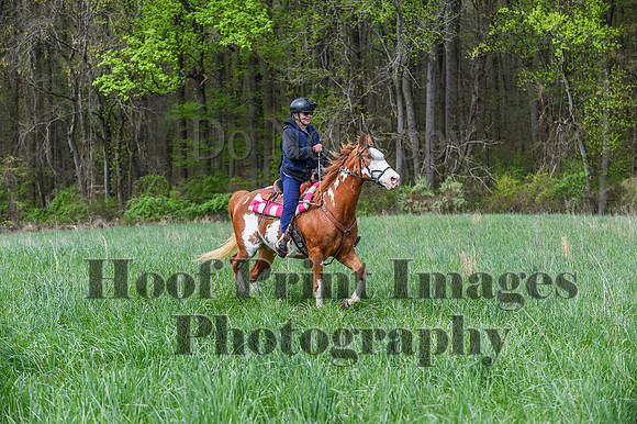 FairHillSpringPC(4-20-24)0269