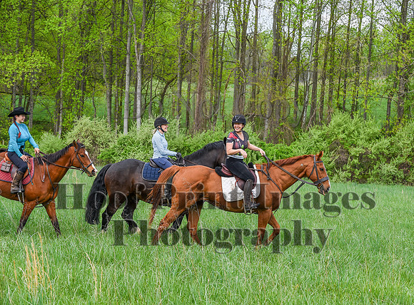 FairHillSpringPC(4-20-24)0321