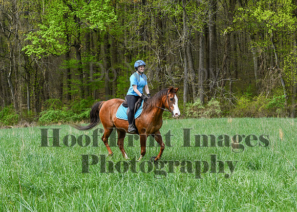 FairHillSpringPC(4-20-24)0409
