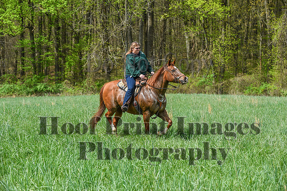 FairHillSpringPC(4-20-24)0444