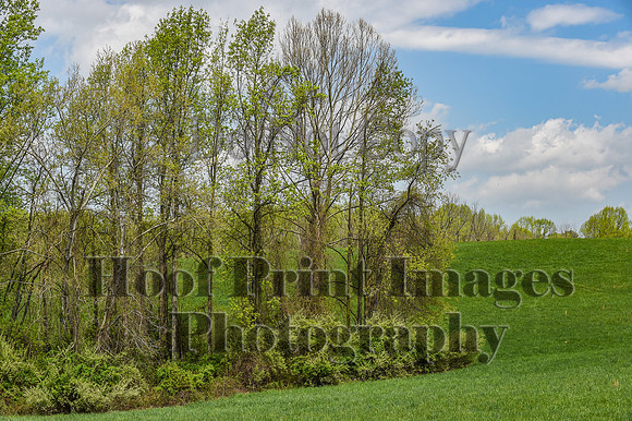 FairHillSpringPC(4-20-24)0461