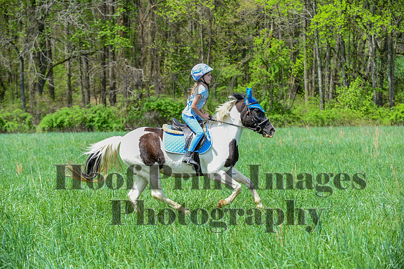 FairHillSpringPC(4-20-24)0621