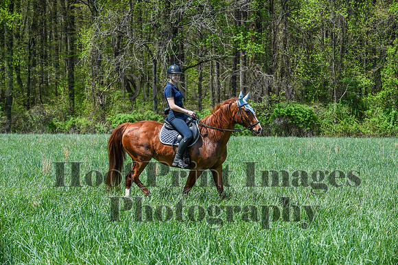 FairHillSpringPC(4-20-24)0641