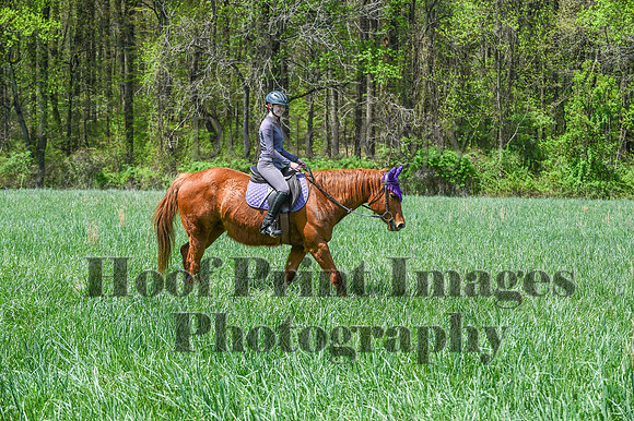 FairHillSpringPC(4-20-24)0648