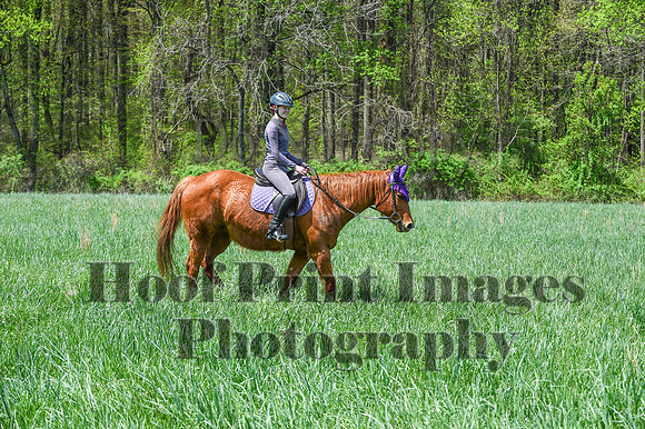 FairHillSpringPC(4-20-24)0649
