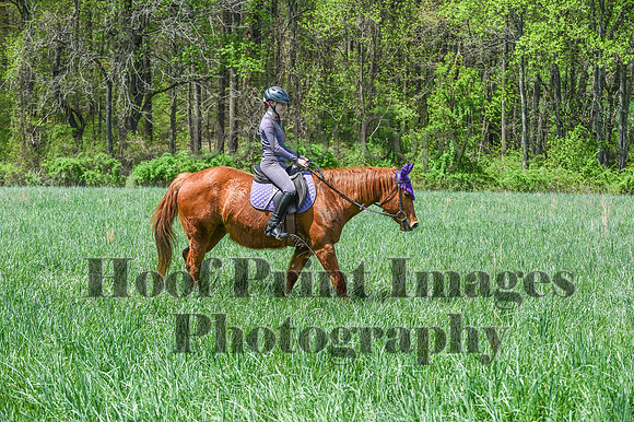 FairHillSpringPC(4-20-24)0650