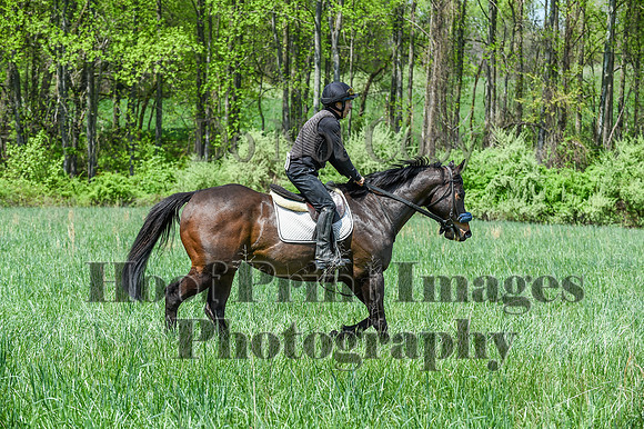 FairHillSpringPC(4-20-24)0676