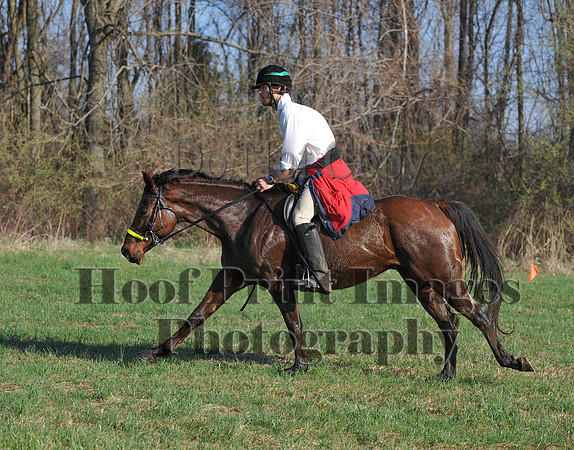 Foxcatcher(4-12-14)0577