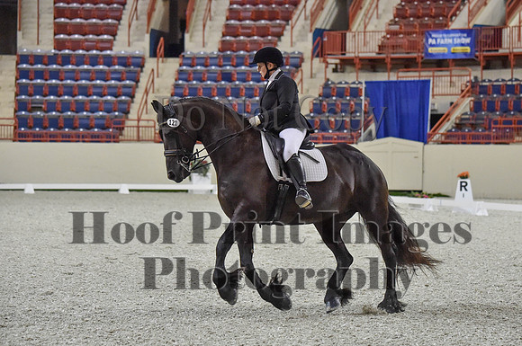 CWdressageI(8-20-16)0896