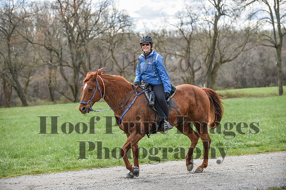 ChesapeakeSpring(4-10-22)0574