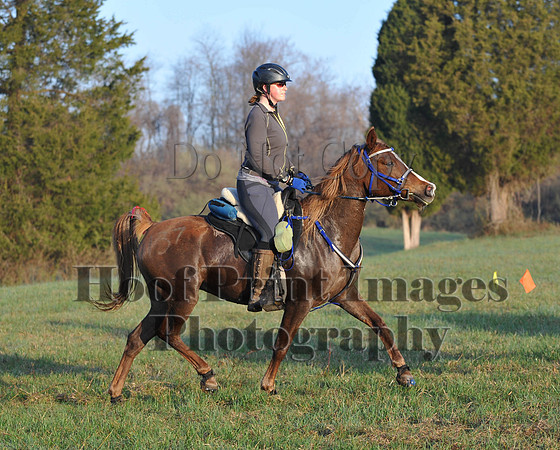 Foxcatcher(4-12-14)0448