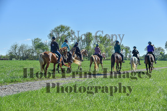 ChesapeakeSpring(4-27-25)0563