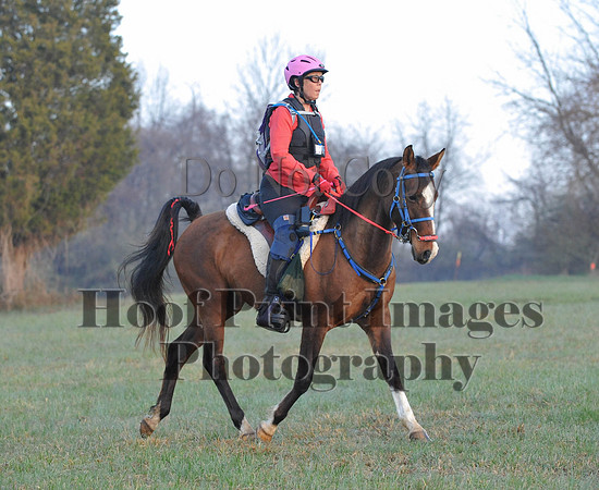 Foxcatcher(4-12-14)0186