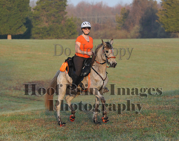 Foxcatcher(4-12-14)0240