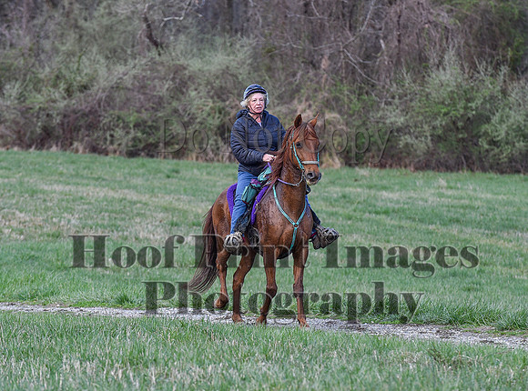 ChesapeakeSpring(4-10-22)0302