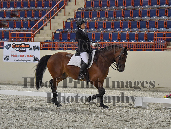 CWdressageI(8-20-16)1291