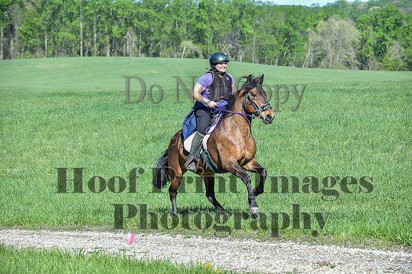 ChesapeakeSpring(4-27-25)0599