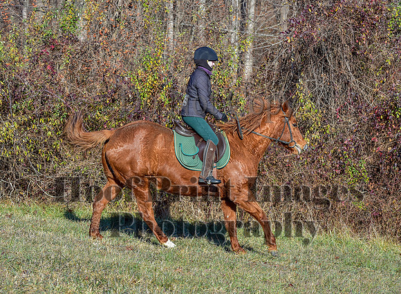 FairHillFallPC(11-30-24)0138