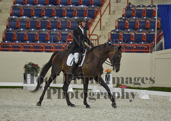 CWdressageI(8-20-16)0663