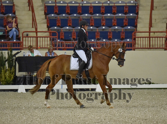 CWdressageI(8-20-16)0511