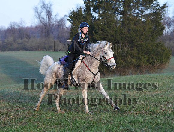 Foxcatcher(4-12-14)0373