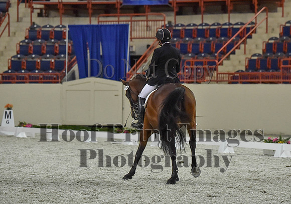 CWdressageI(8-20-16)1306