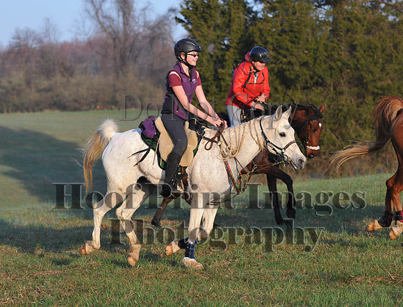 Foxcatcher(4-12-14)0413