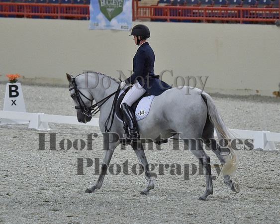 CWdressageII(8-21-16)1706