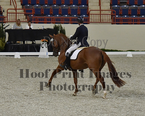 CWdressageII(8-21-16)1347