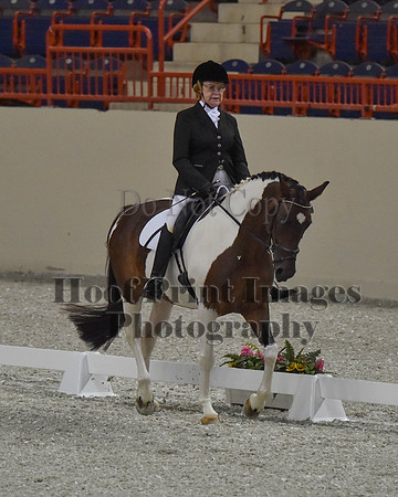 CWdressageII(8-21-16)1097