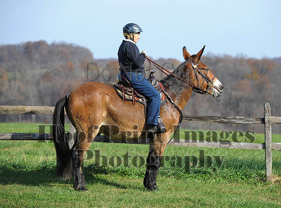 AndrewsBr(11-9-14)0316