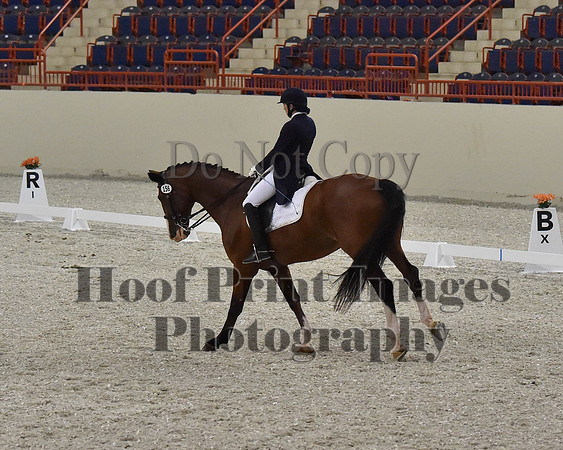 CWdressageII(8-21-16)1752