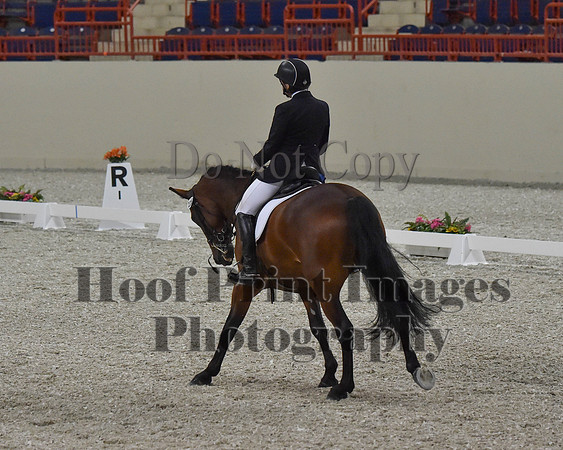 CWdressageII(8-21-16)0484