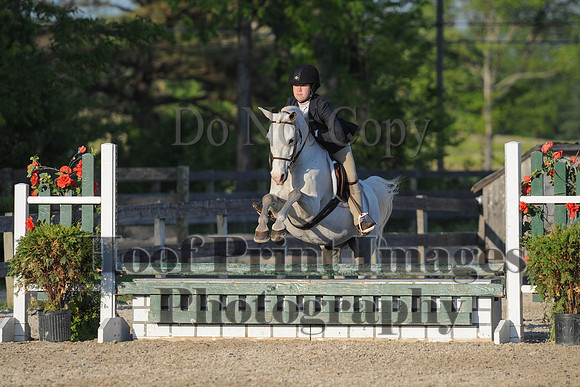 BRSa(5-17-14)SMChP0093