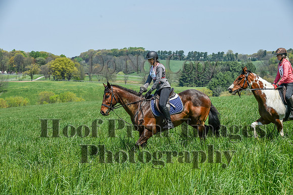 CheshireSpringPC1(4-28-24)0462