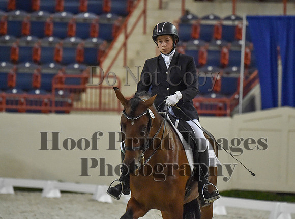 CWdressageI(8-20-16)1309