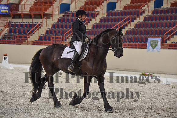 CWdressageI(8-20-16)1386