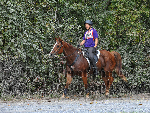 CheshirePC(10-16-16)0272