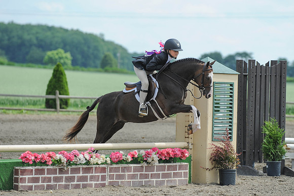 SC(6-28-14)SMPony0073