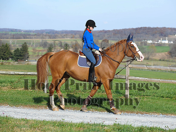 AndrewsBr(11-9-14)0648