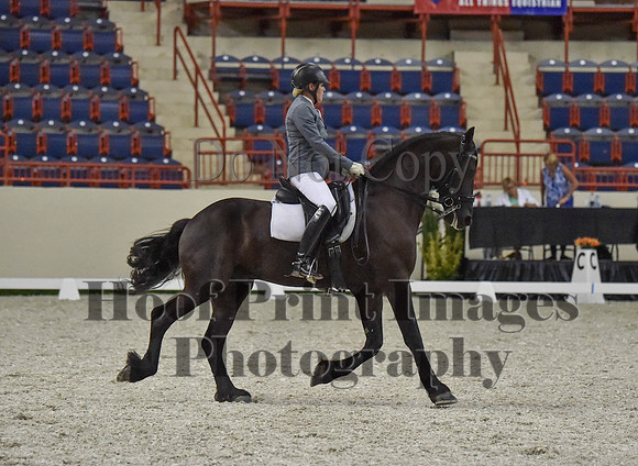 CWdressageI(8-20-16)1237