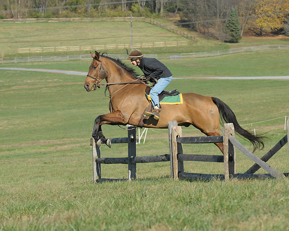 BHPC(11-15-15)0234