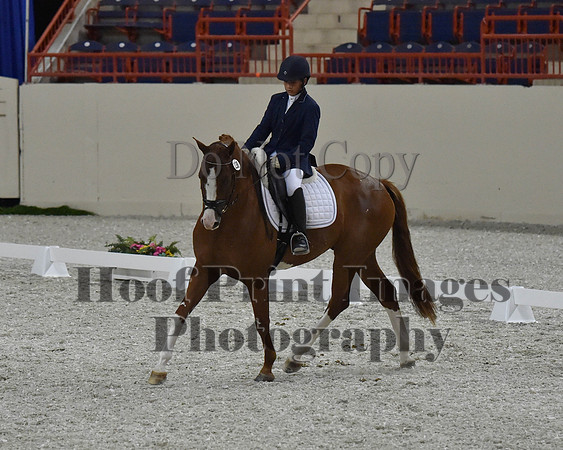 CWdressageII(8-21-16)2016