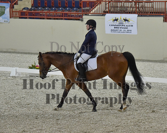CWdressageII(8-21-16)1359