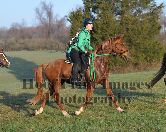 Foxcatcher(4-12-14)0443